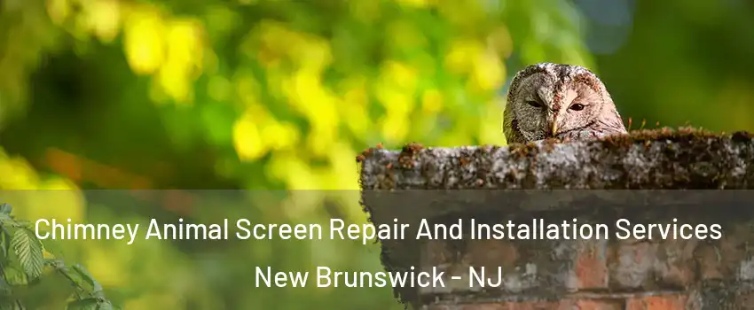  Chimney Animal Screen Repair And Installation Services New Brunswick - NJ