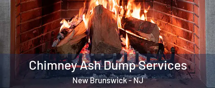  Chimney Ash Dump Services New Brunswick - NJ