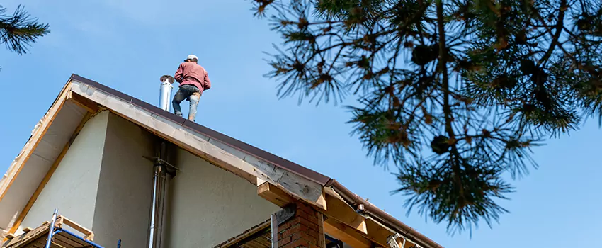 Birds Removal Contractors from Chimney in New Brunswick, NJ