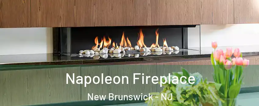  Napoleon Fireplace New Brunswick - NJ